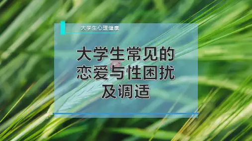 大学生常见的恋爱与性困扰及调适PPT模板