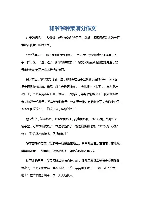 和爷爷种菜满分作文
