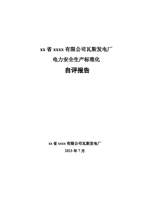 发电厂电力安全生产标准化自评报告模板