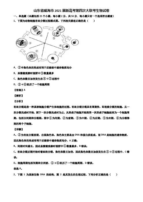 山东省威海市2021届新高考第四次大联考生物试卷含解析