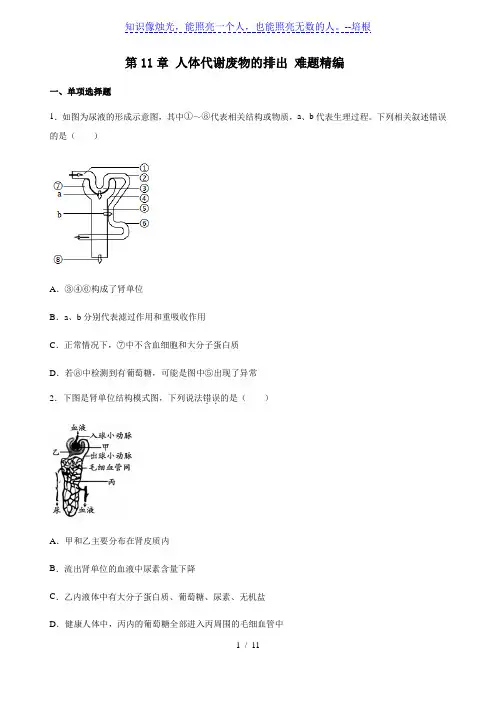 北师大版生物七年级下册第4单元第11章 人体代谢废物的排出 难题精编(含答案)
