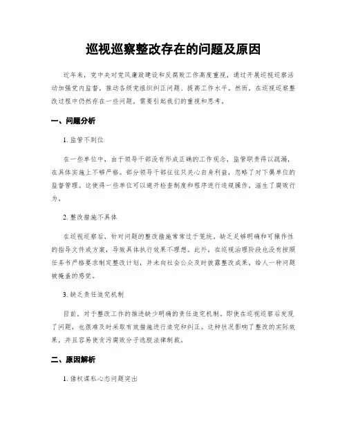巡视巡察整改存在的问题及原因