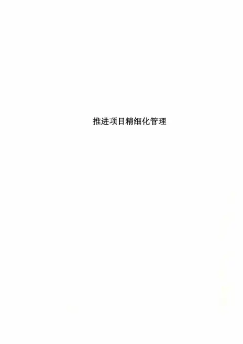 推进项目精细化管理