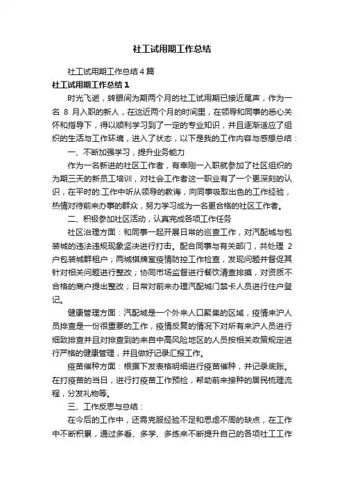 社工试用期工作总结4篇