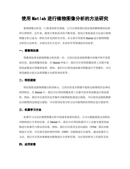 使用Matlab进行植物图像分析的方法研究