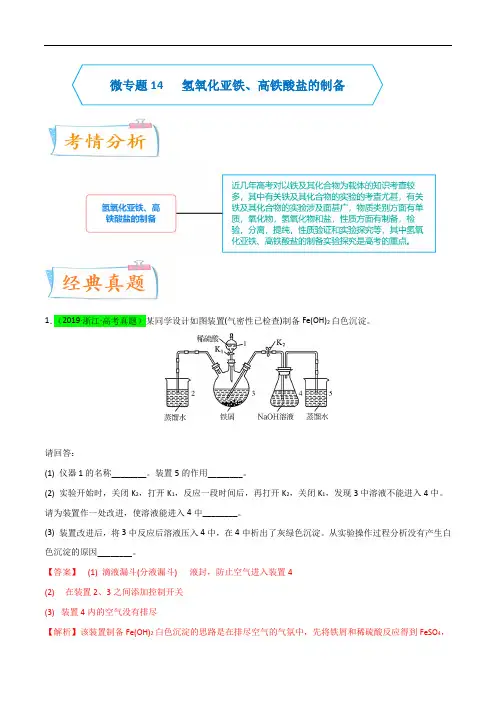 专题14  氢氧化亚铁、高铁酸盐的制备实验探究 -备战2024年高考化学考点微专题(解析版)
