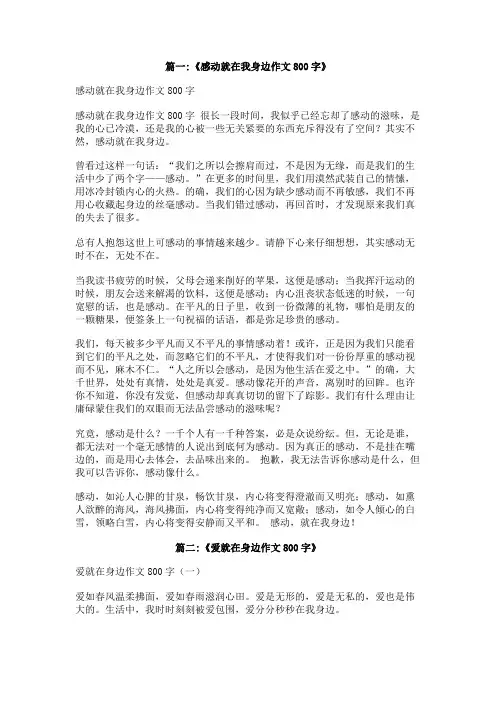 原来你一直在我身边800字作文