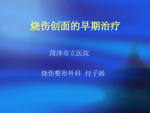 烧伤创面早期处理