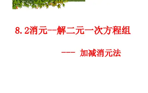 加减消元法 优课一等奖课件