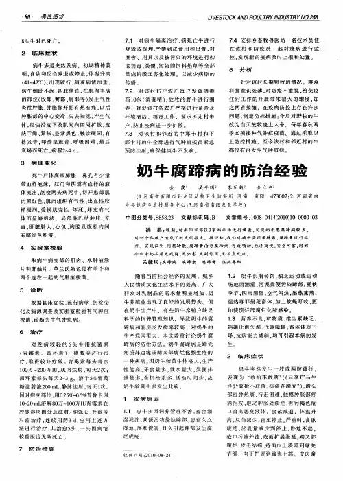 奶牛腐蹄病的防治经验