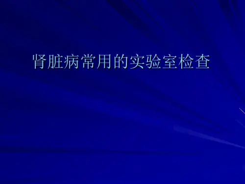实验诊断学课件：肾脏病常用的实验室检查