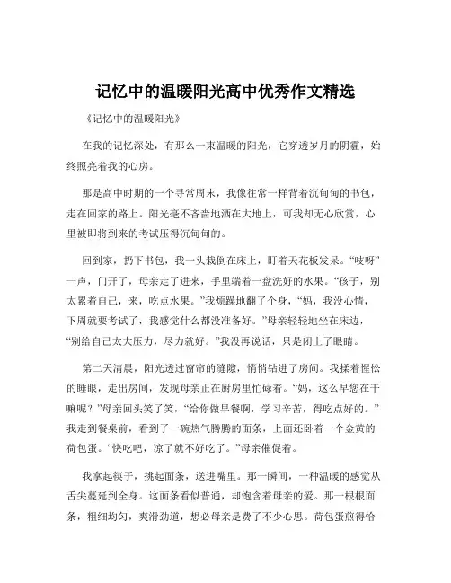 记忆中的温暖阳光高中优秀作文精选