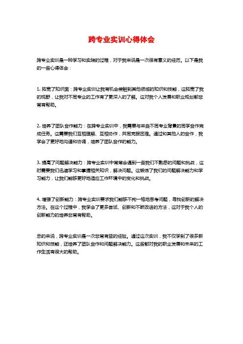 跨专业实训心得体会