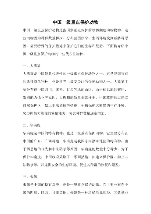 中国一级重点保护动物