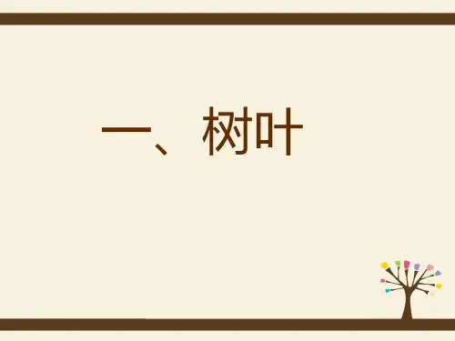 学前教育幼儿玩教具制作——乡土材料