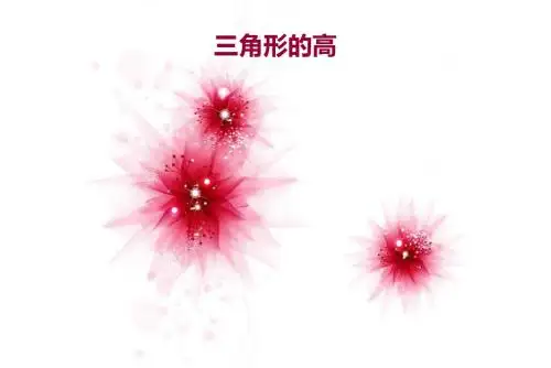 《三角形的高》课件 2