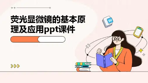 荧光显微镜的基本原理及应用PPT课件