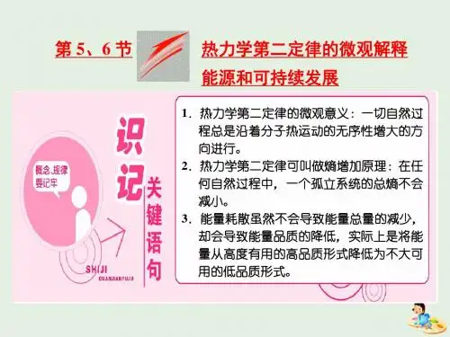 高中物理 第十章 热力学定律 第5、6节 热力学第二定律