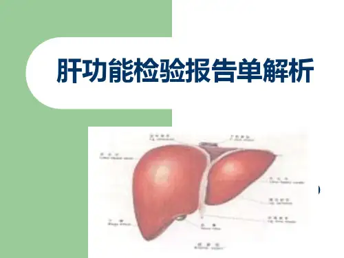 肝功能报告解析.ppt