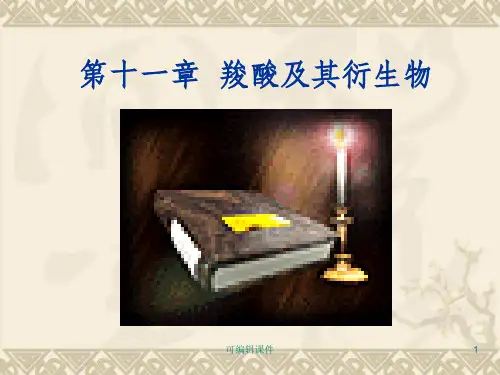 有机化学 第11章 羧酸ppt课件