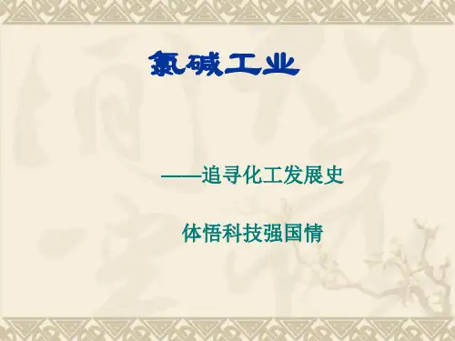 化学课件《氯碱工业》优秀ppt2 人教课标版