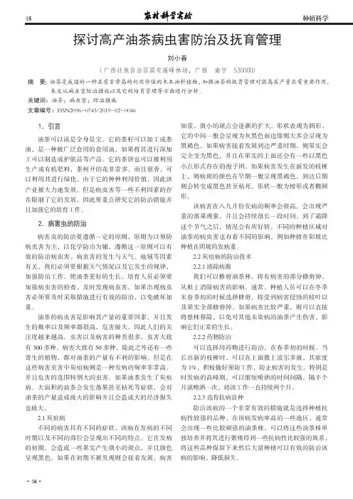 探讨高产油茶病虫害防治及抚育管理