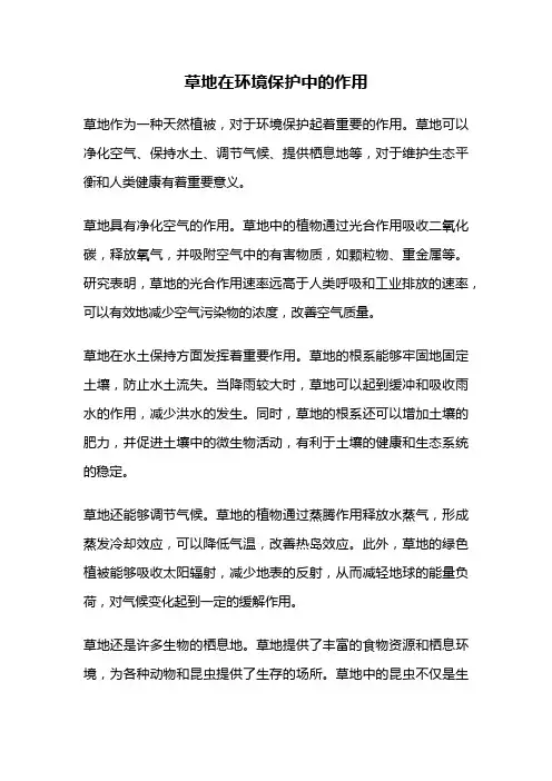 草地在环境保护中的作用