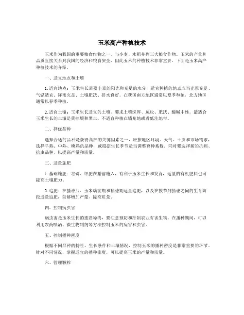 玉米高产种植技术