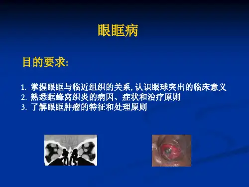 眼眶病与眼外伤