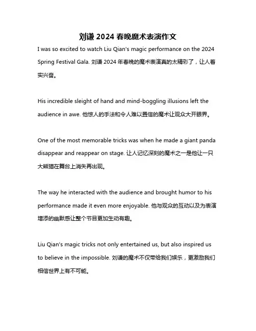 刘谦2024春晚魔术表演作文