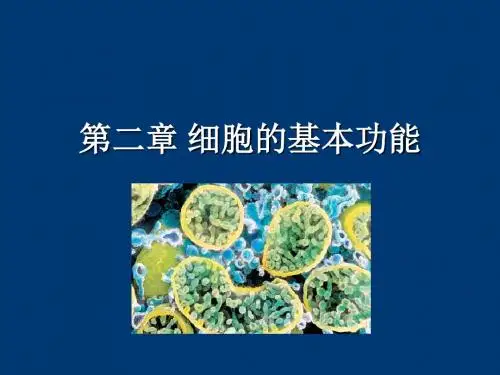 《生理学》细胞的基本功能  ppt课件