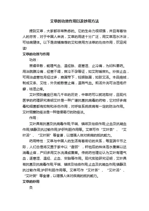 艾草的功效作用以及妙用方法