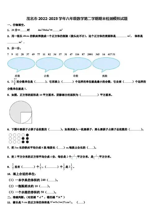 茂名市2022-2023学年六年级数学第二学期期末检测模拟试题含解析