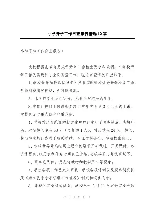 小学开学工作自查报告精选10篇