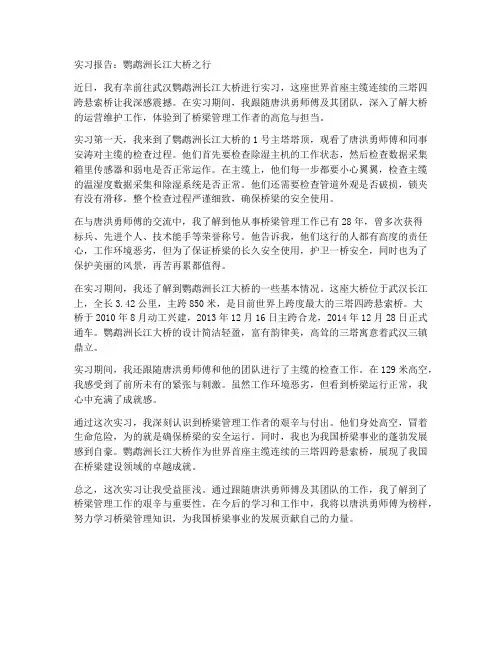 鹦鹉洲长江大桥实习报告