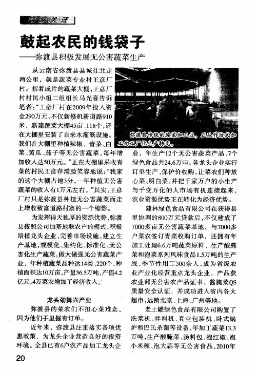 鼓起农民的钱袋子——弥渡县积极发展无公害蔬菜生产