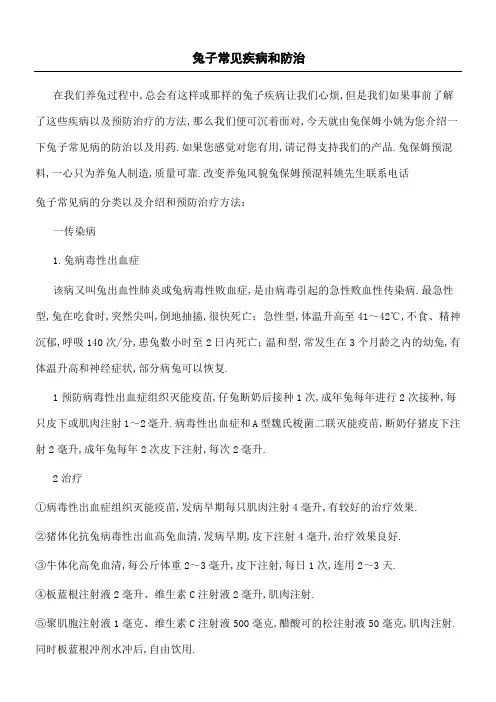 兔子常见疾病预防与治疗