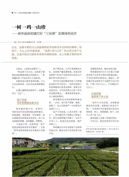 一树一鸡一山珍——册亨县弼佑镇打好“三张牌”发展绿色经济