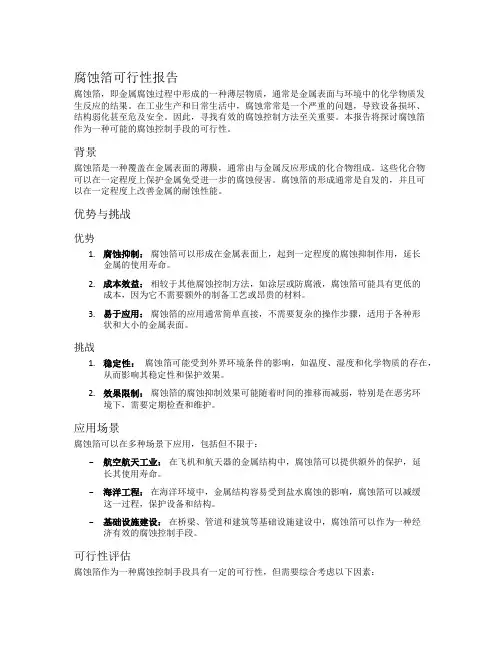 腐蚀箔可行性报告