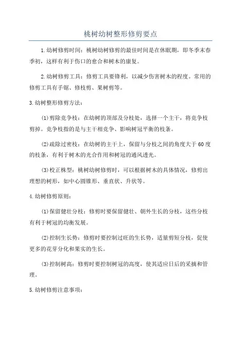 桃树幼树整形修剪要点