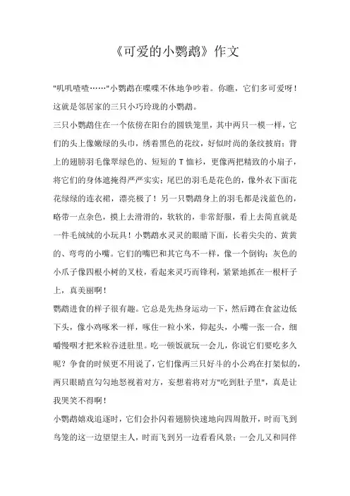 小学状物《可爱的小鹦鹉》作文