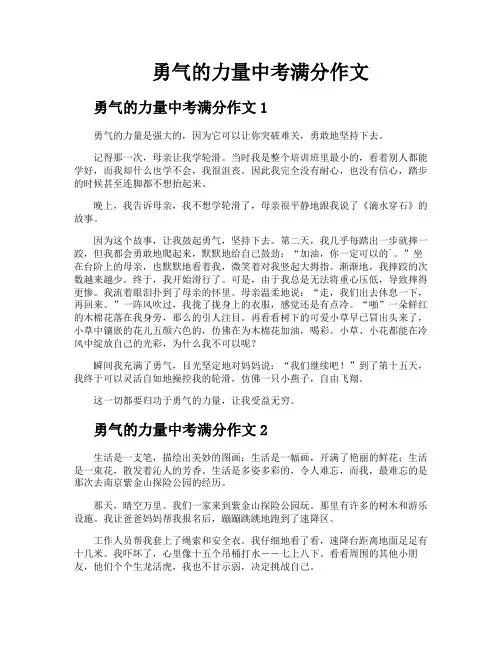 勇气的力量中考满分作文