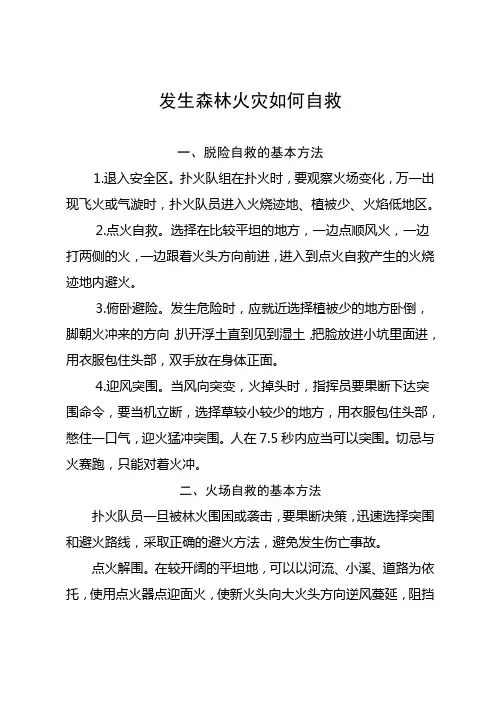 发生森林火灾如何自救