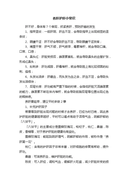 养肝护肝小常识