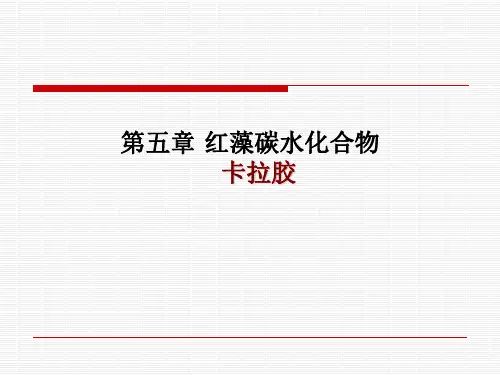第五章 卡拉胶