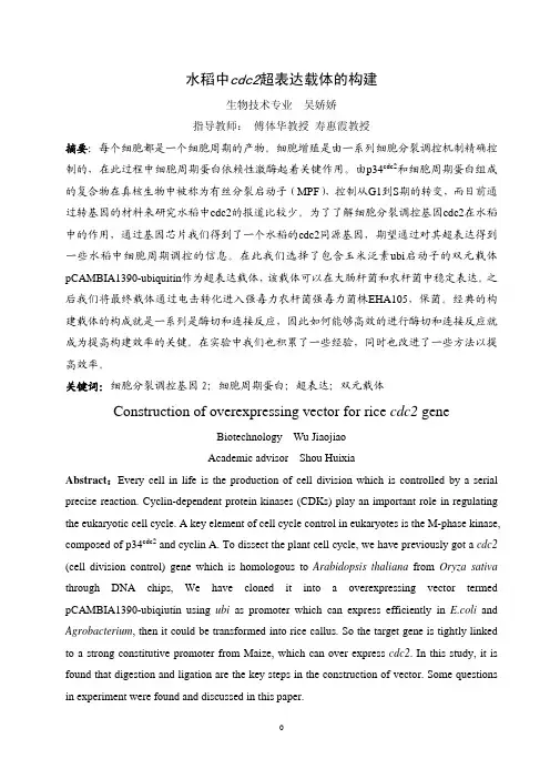 载体构建
