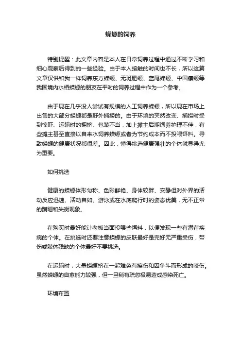 蝾螈的饲养