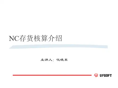 2019-NC_存货核算系统-文档资料