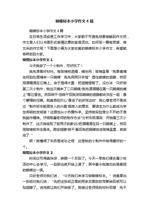 蝴蝶标本小学作文4篇