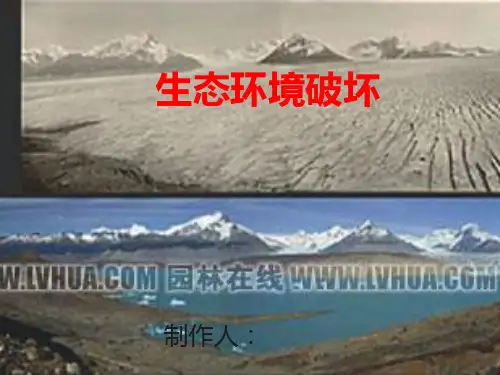 生态环境课件